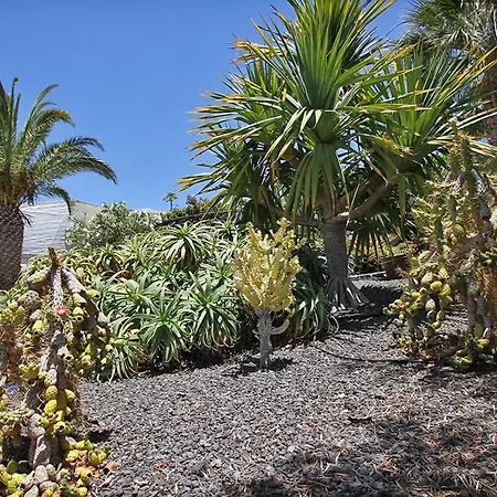 Bungalow Moijama El Drago-2